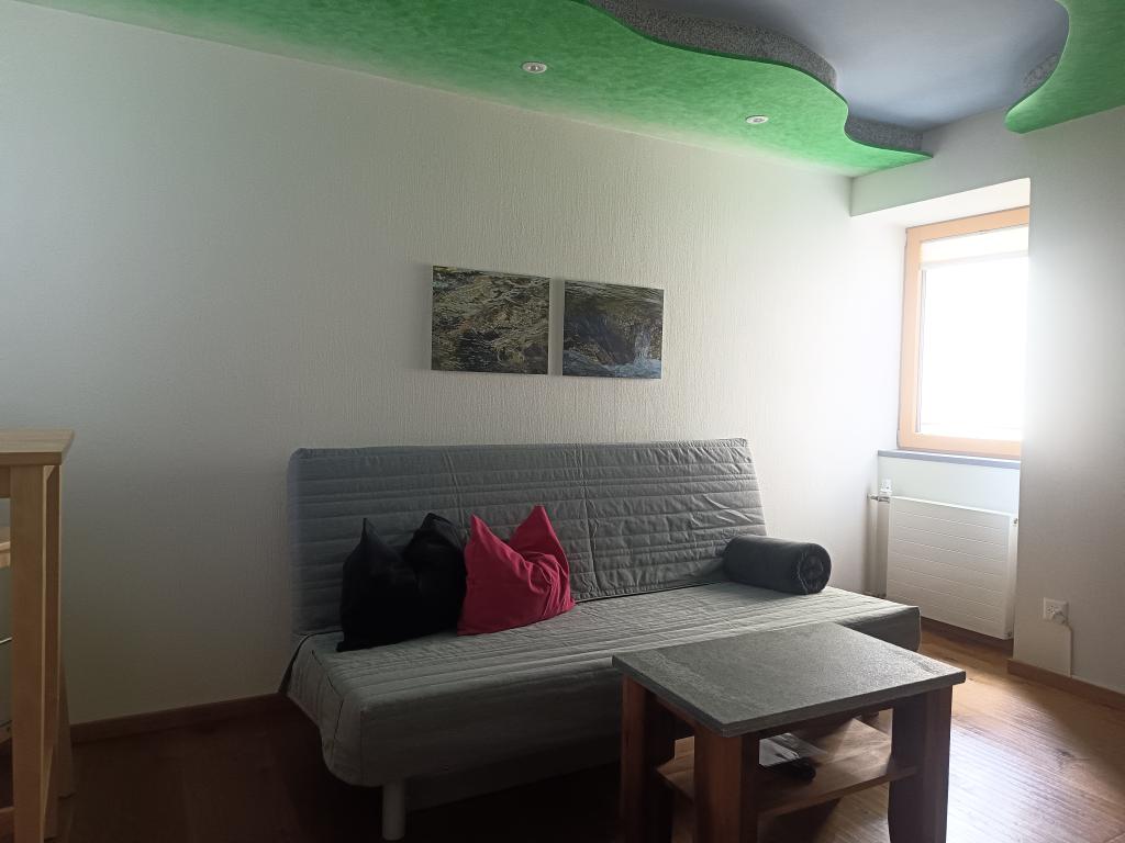 living room with sofa bed (140x200cm)