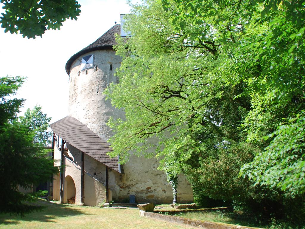 The Tower with garden