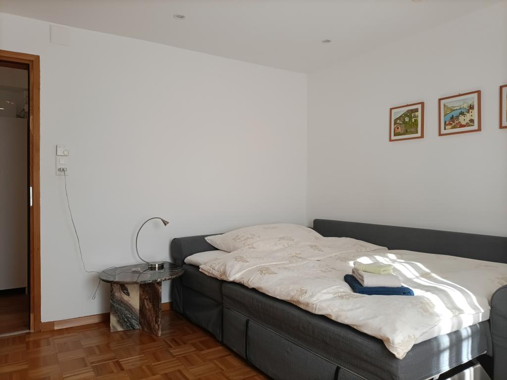 livingroom as sleepingroom with sleeping sofa (140x200cm)