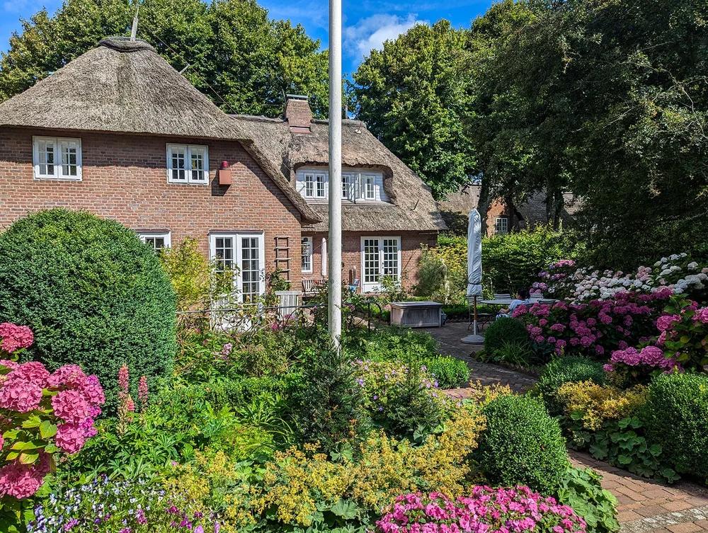 Fantastic and huge garden