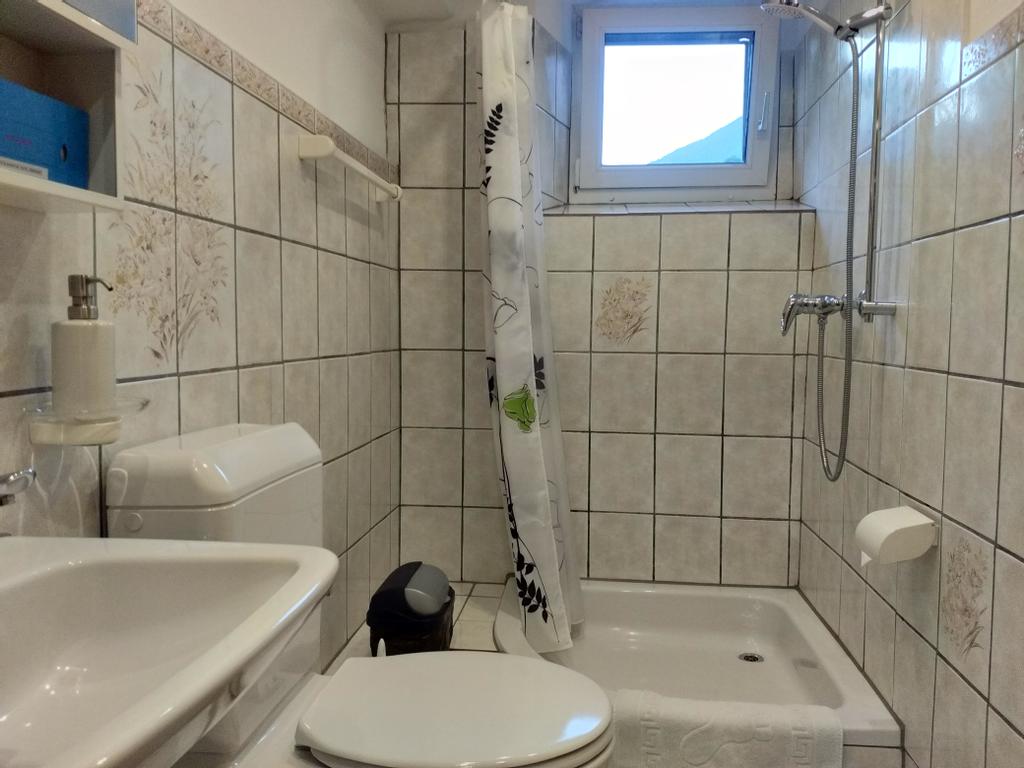 bathroom with shower, basin and toilet