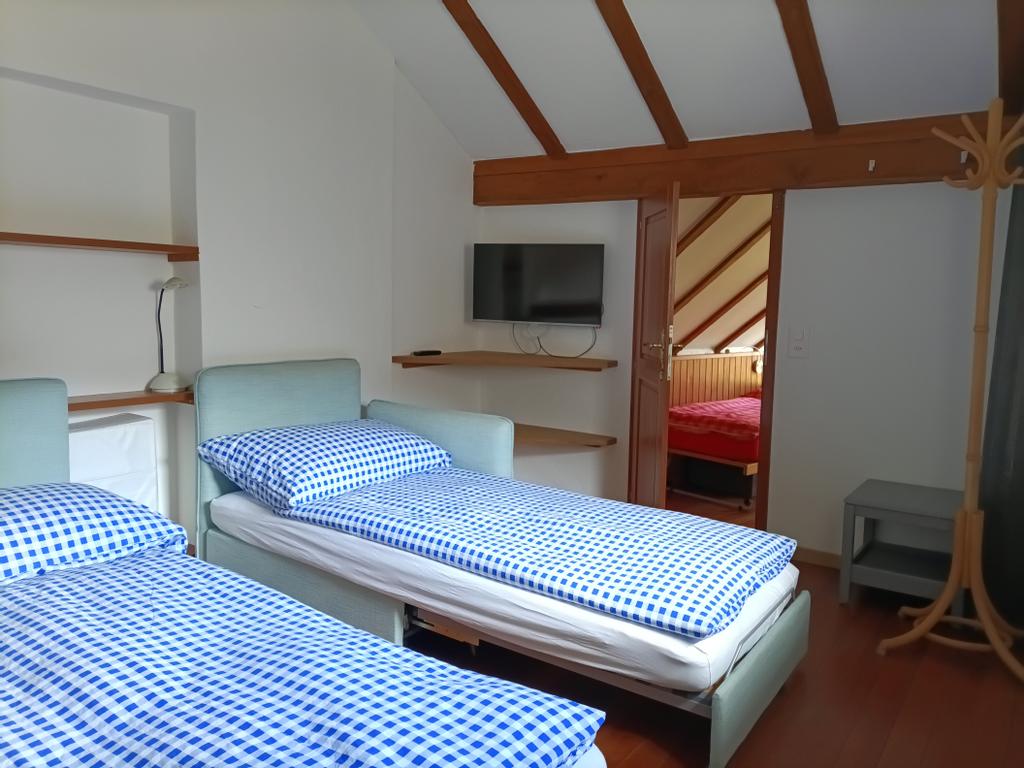 living room as sleeping room