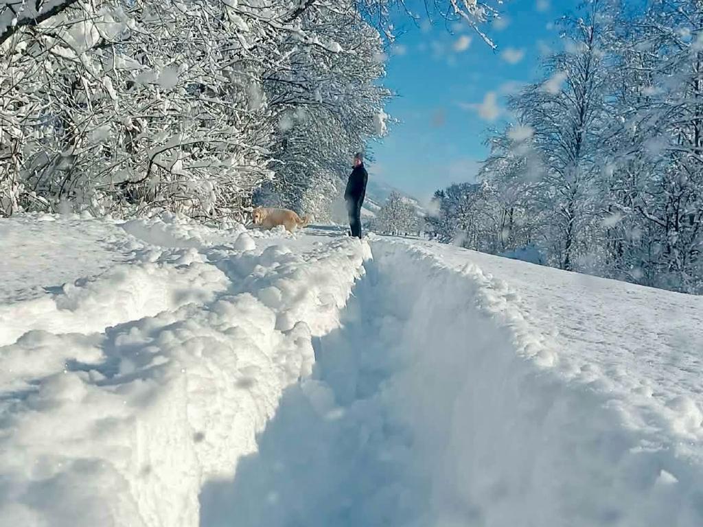 Winter hiking path