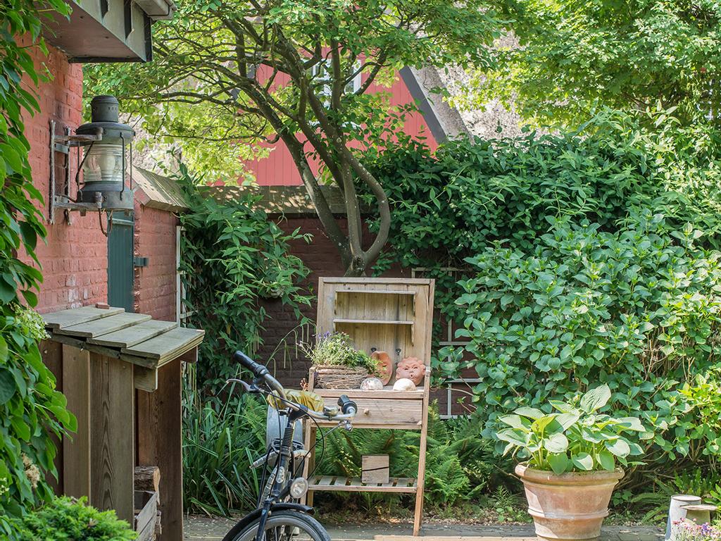 Garden Shed