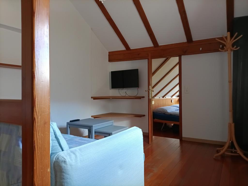 living room with TV