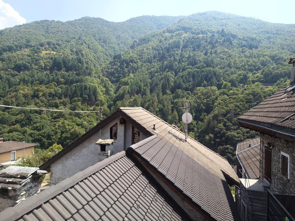 south-facing view